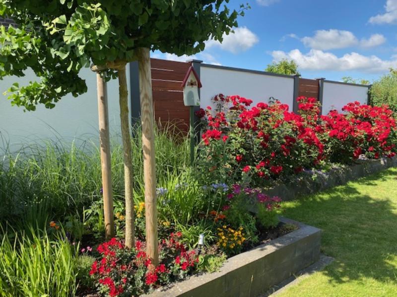 Modulare-Wandsysteme-Sichtschutzwande-mit-Rosen-im-Vordergrund