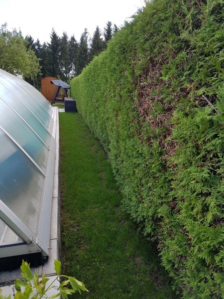 Vorher-Nachher-Vergleich-wenig-Platz-mit-Hecke