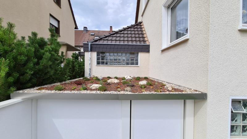 Modulare-Wandsysteme-Gartenhausdach-mit-Bewuchs