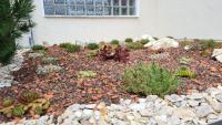 begrüntes-Dach-Gartenhaus-Modulare-Wandsysteme